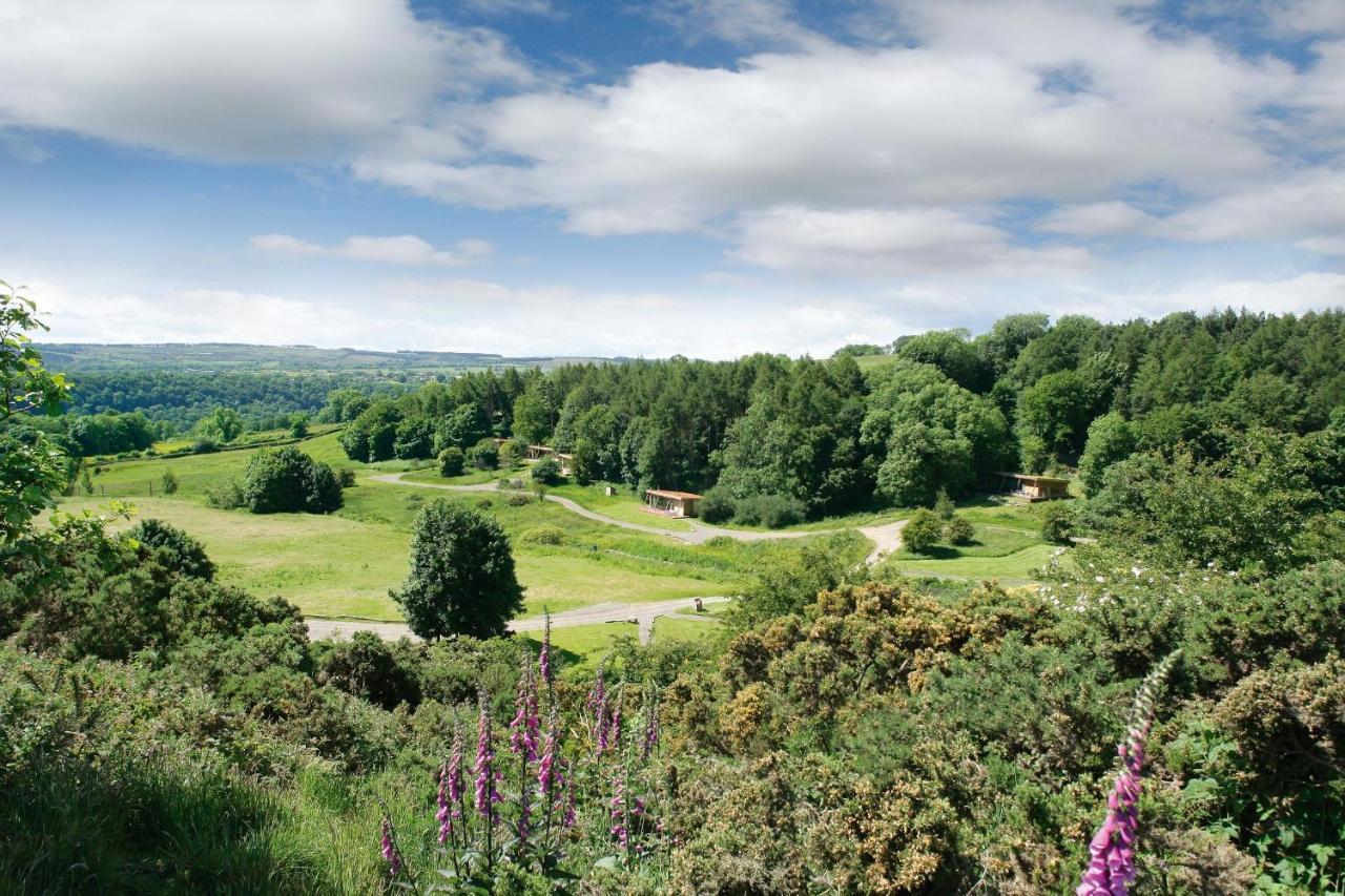 Yorkshire Dales Lodge 4 Family 3 Bed Ричмонд Экстерьер фото