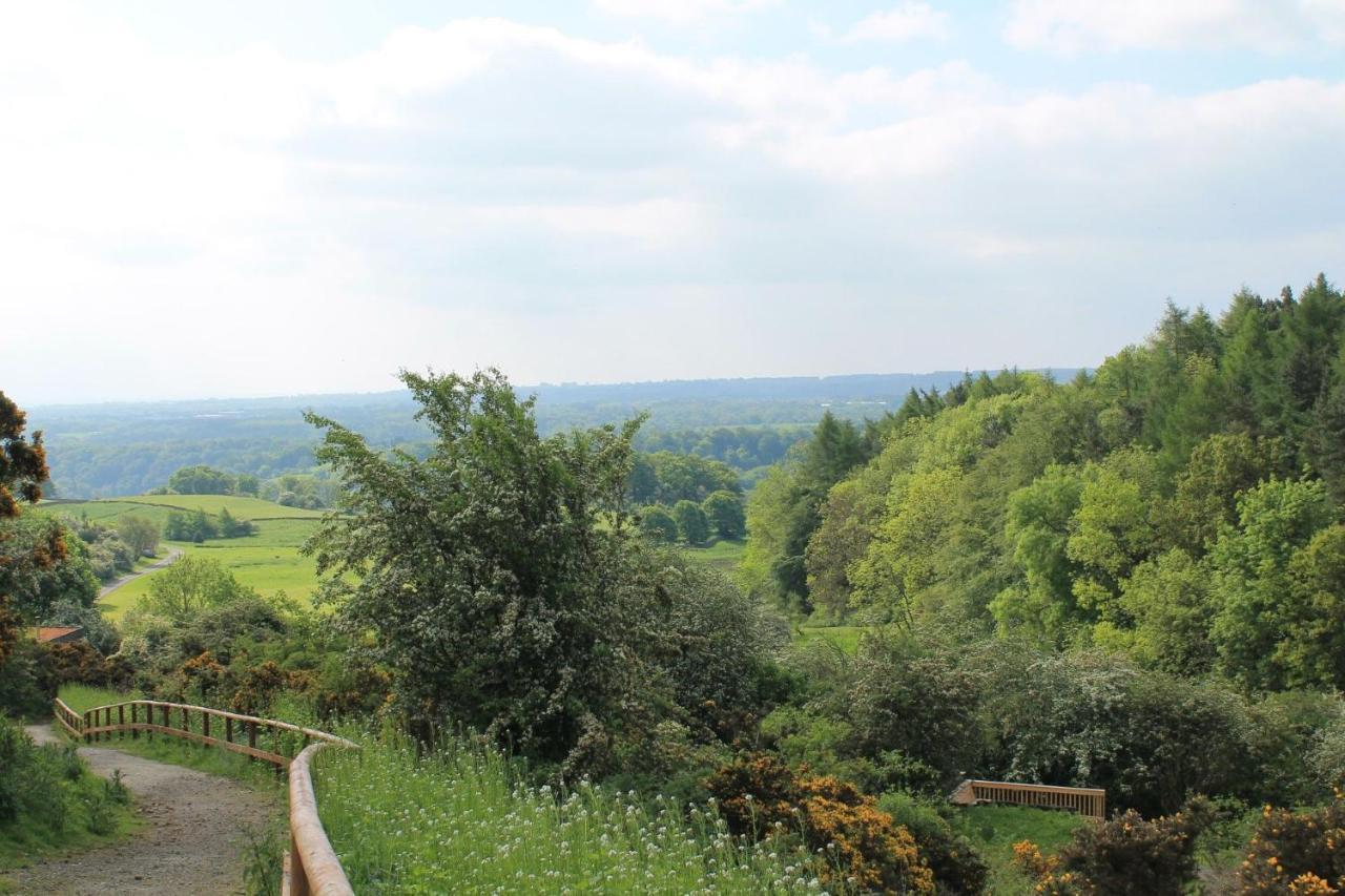 Yorkshire Dales Lodge 4 Family 3 Bed Ричмонд Экстерьер фото